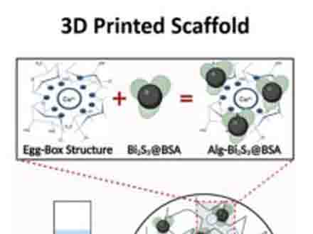 可植入3D打印海藻酸盐支架增强放射治疗,改善局部乳腺癌治疗效果